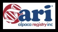 ari logo